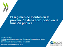 El régimen de méritos en la prevención de la corrupción en la función pública